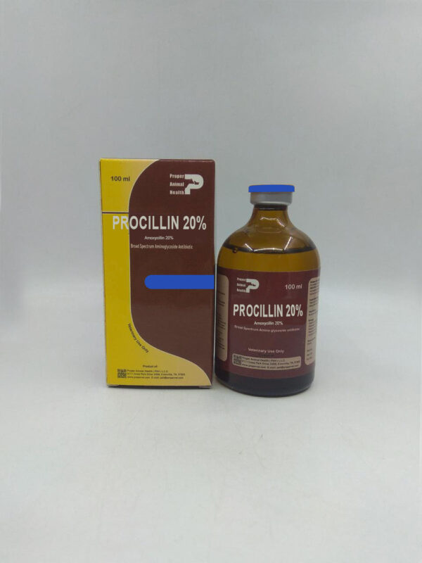 Amoxycillin 20%